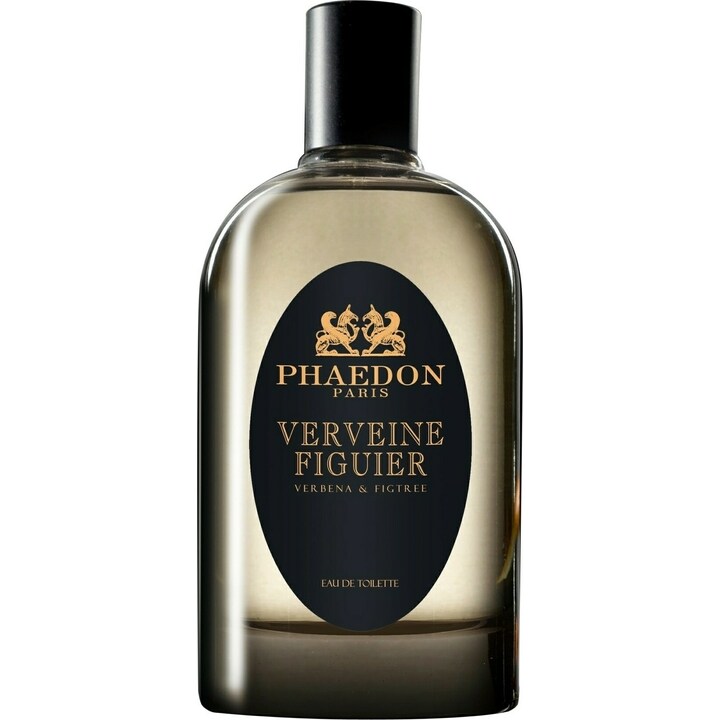 Verveine Figuier